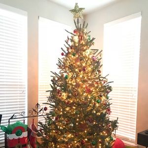 Meet your Posher, Jenny